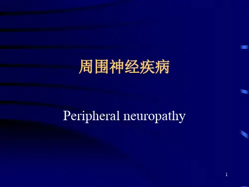脊神经疾病PPT课件