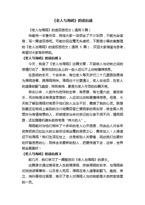 《老人与海鸥》的读后感范文（通用5篇）