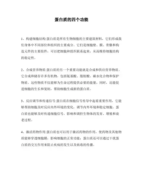 蛋白质的四个功能