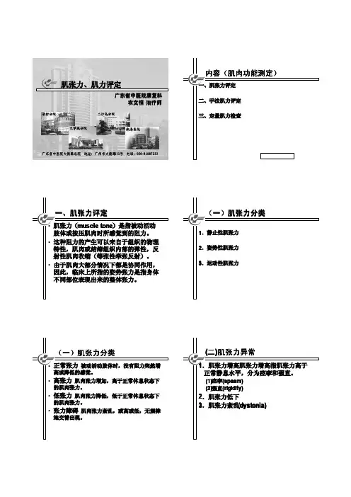 肌张力、肌力评定