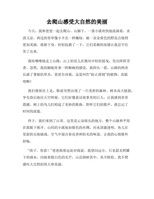 小学三年级作文这儿真美范文去爬山感受大自然的美丽