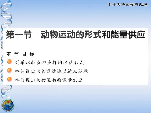 生物苏教版八上17.1动物运动的形式和能量供应讲解