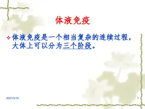 体液免疫流程图课件PPT