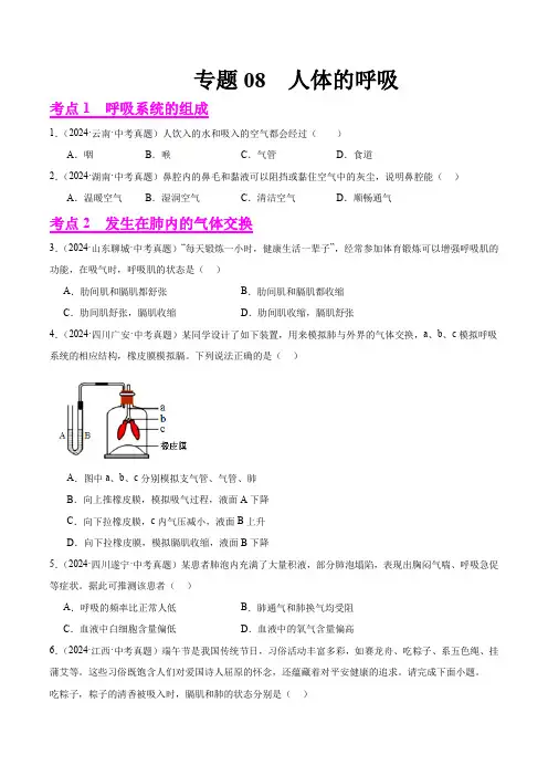 专题08  人体的呼吸(原卷版+答案解析版)