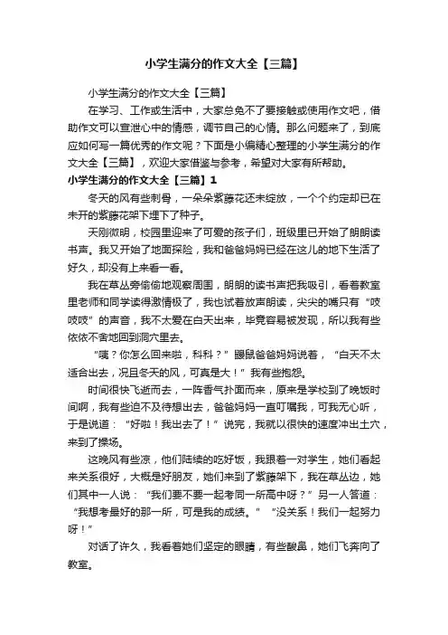 小学生满分的作文大全【三篇】