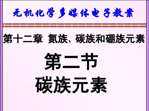 天津大学无机化学12-2 碳族元素课件