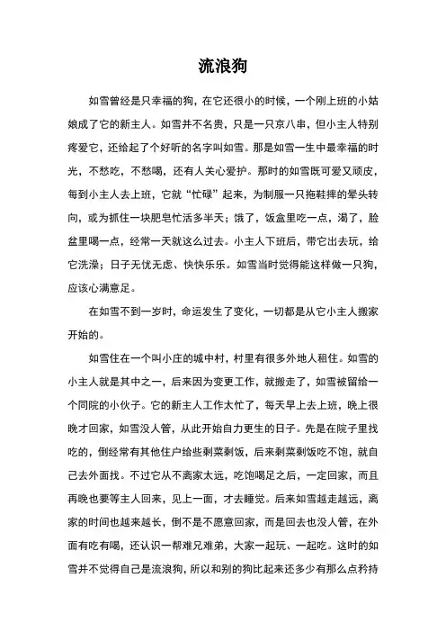 流浪狗_经典童话故事