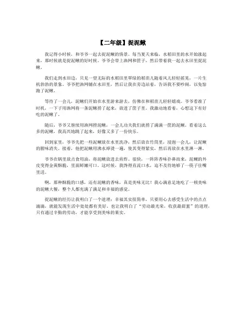 【二年级】捉泥鳅