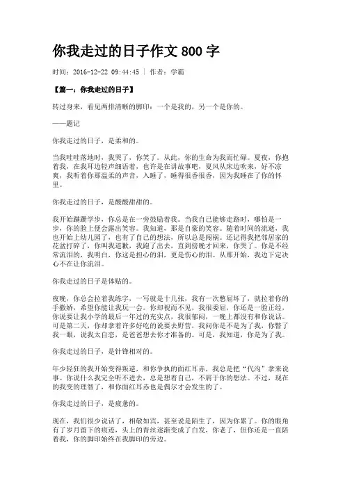 你我走过的日子作文800字