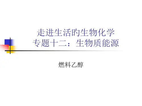 Z生物质能源燃料乙醇省名师优质课赛课获奖课件市赛课一等奖课件