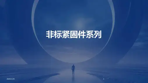 非标紧固件系列