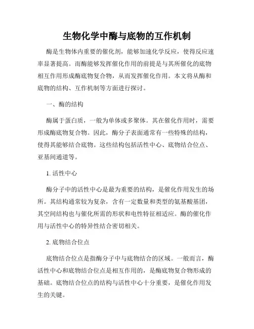 生物化学中酶与底物的互作机制