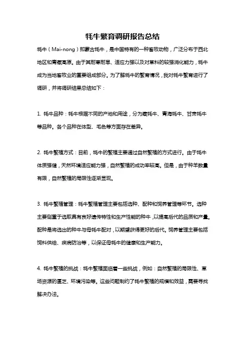 牦牛繁育调研报告总结