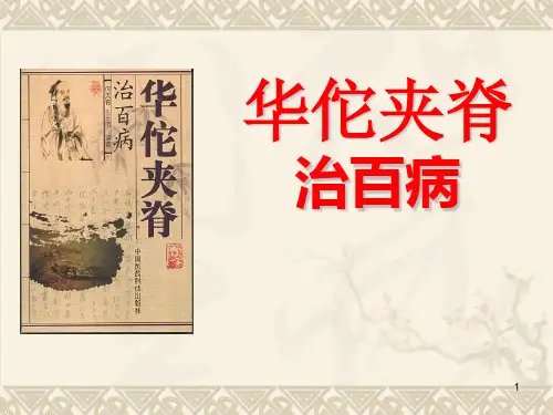 华佗夹脊穴