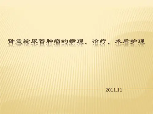 肾盂输尿管肿瘤 ppt课件