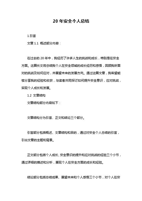 20年安全个人总结