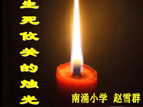 生死攸关的烛光(公开)PPT