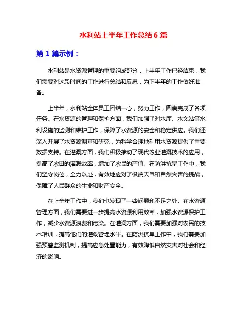 水利站上半年工作总结6篇