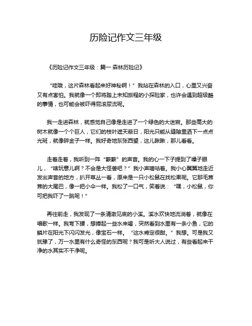 历险记作文三年级