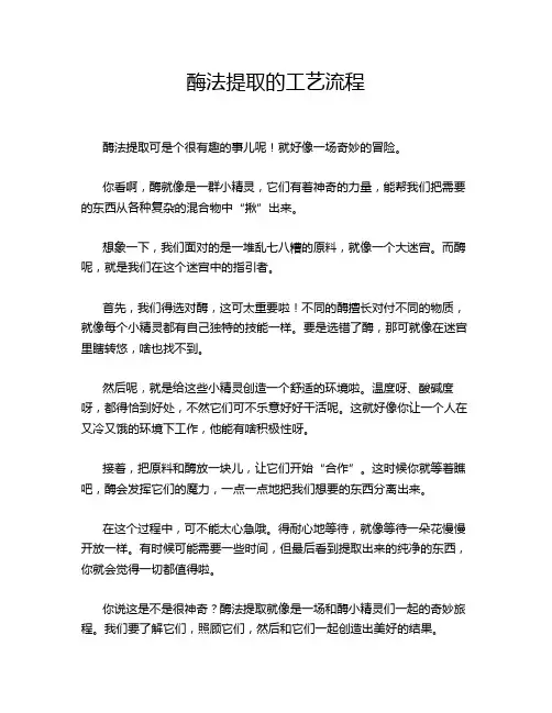 酶法提取的工艺流程