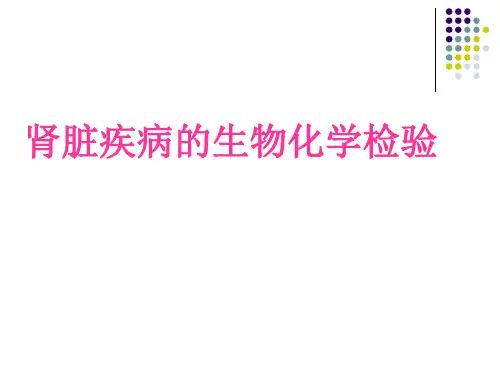 肾脏疾病的生物化学检验-精品医学课件