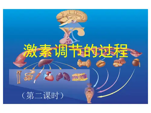 激素调节的过程(第2课时)高二生物同步教学课件