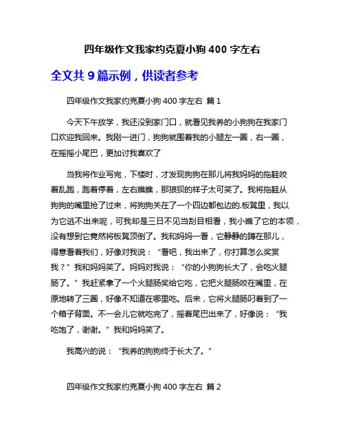 四年级作文我家约克夏小狗400字左右