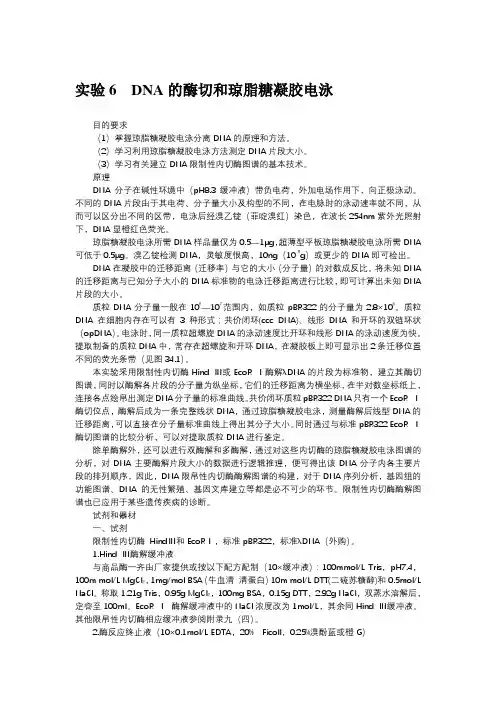 DNA的酶切和琼脂糖凝胶电泳实验原理及步骤