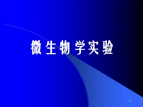 实验二土壤微生物的分离鉴定