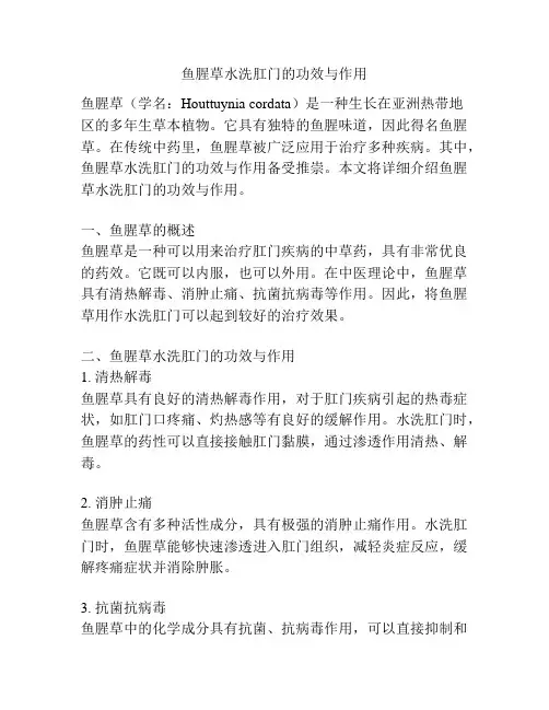 鱼腥草水洗肛门的功效与作用
