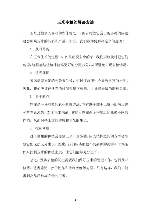 玉米多穗的解决方法