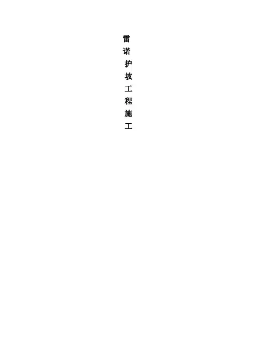 雷诺护坡施工方案