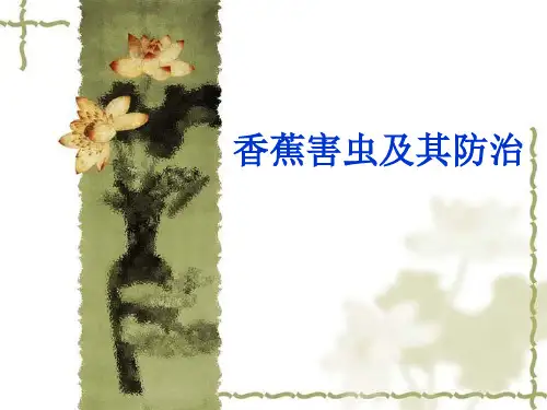 蕉农常见的香蕉害虫及其防治措施