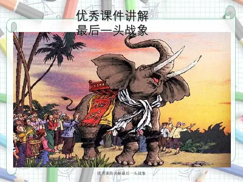 优秀课件讲解最后一头战象