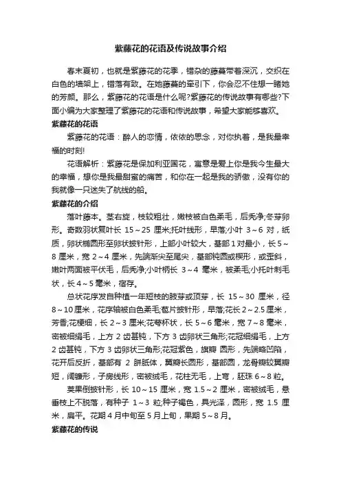 紫藤花的花语及传说故事介绍