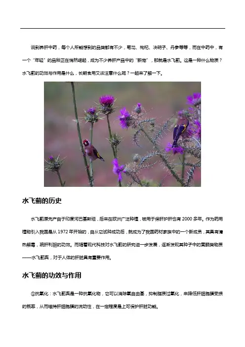 水飞蓟的功效与作用是什么？长期食用需要注意哪些方面？