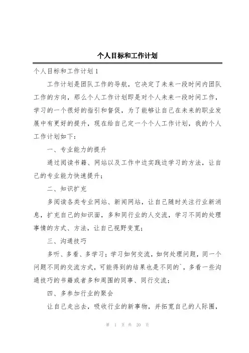 个人目标和工作计划