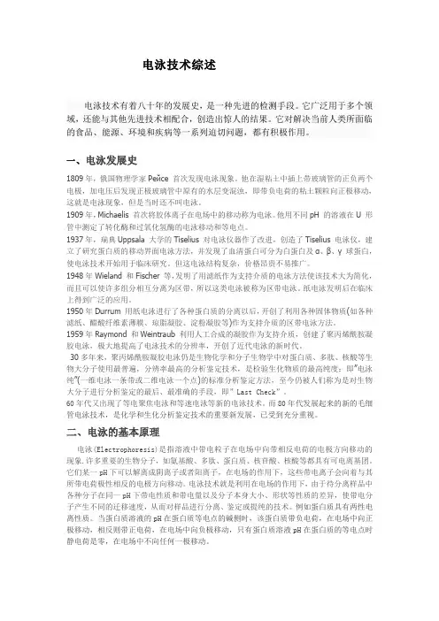 电泳技术