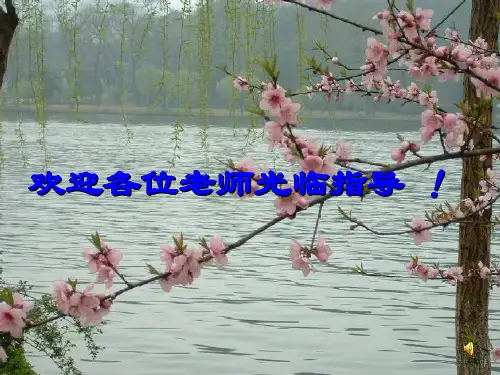 论语十则ppt113 人教课标版最新公开课优选PPT课件
