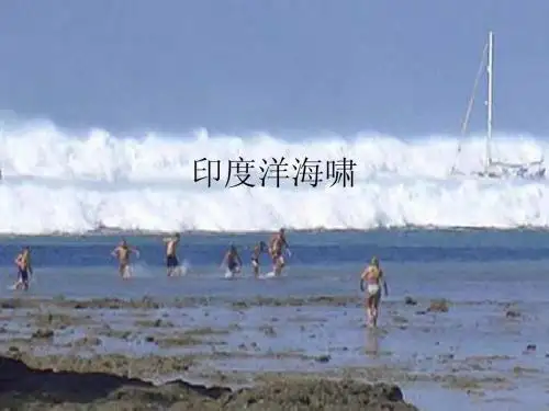 印度洋海啸