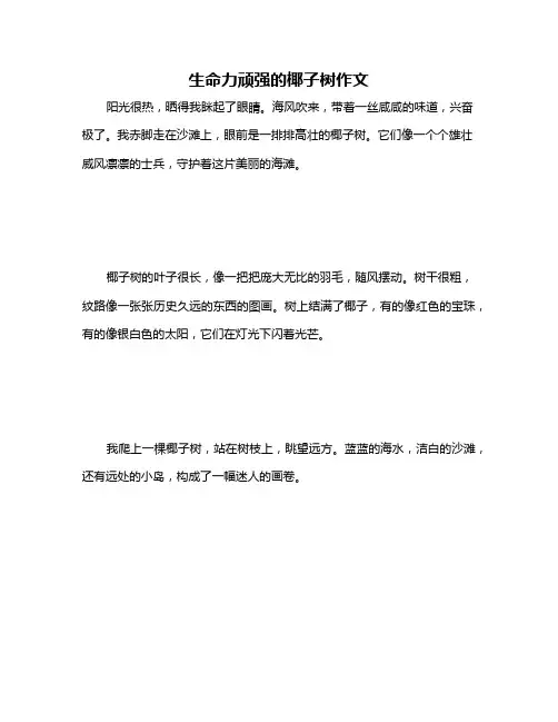 生命力顽强的椰子树作文