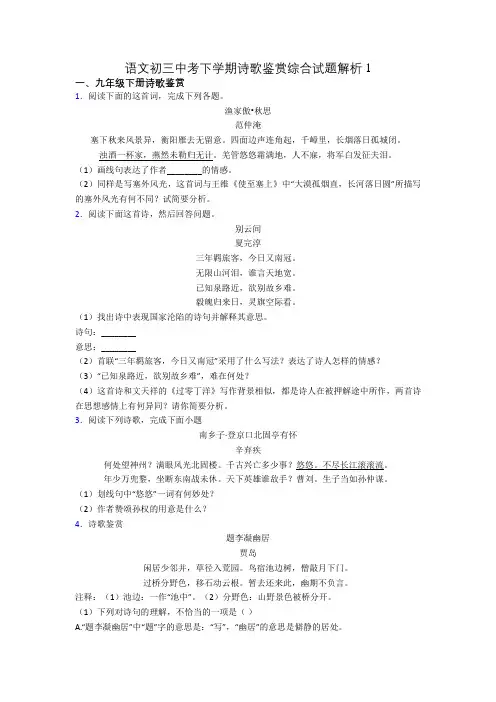 语文初三中考下学期诗歌鉴赏综合试题解析1