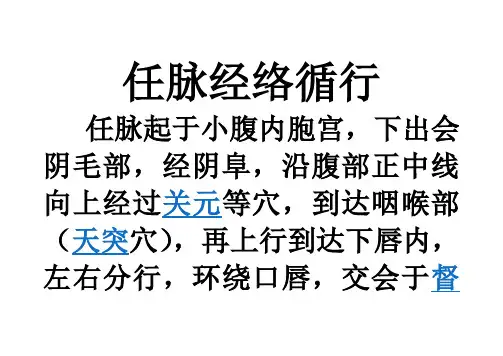 任督二脉经络循行
