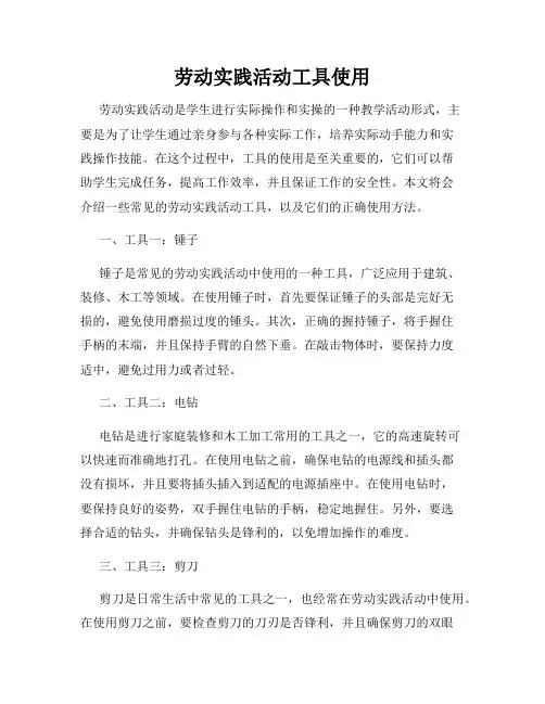 劳动实践活动工具使用
