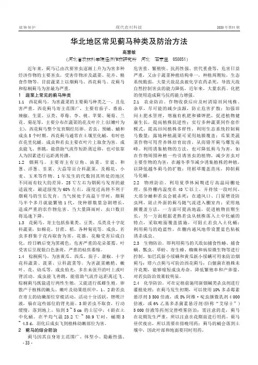 华北地区常见蓟马种类及防治方法