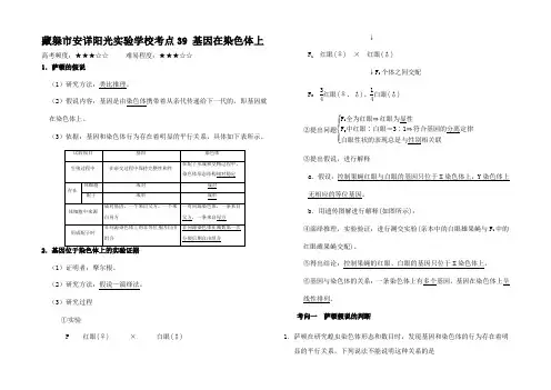 高考生物 考点一遍过 考点 基因在染色体上(含解析)