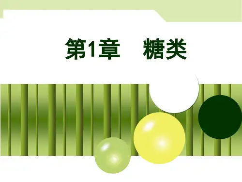new-第1章糖类课件