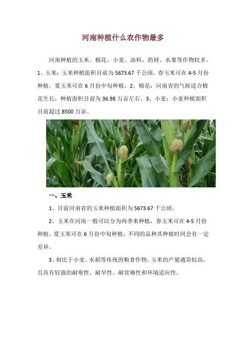 河南种植什么农作物最多