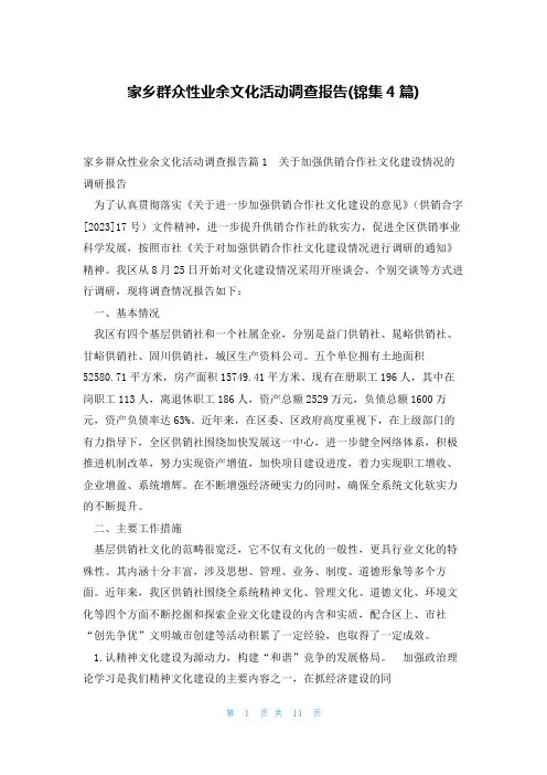 家乡群众性业余文化活动调查报告(锦集4篇)