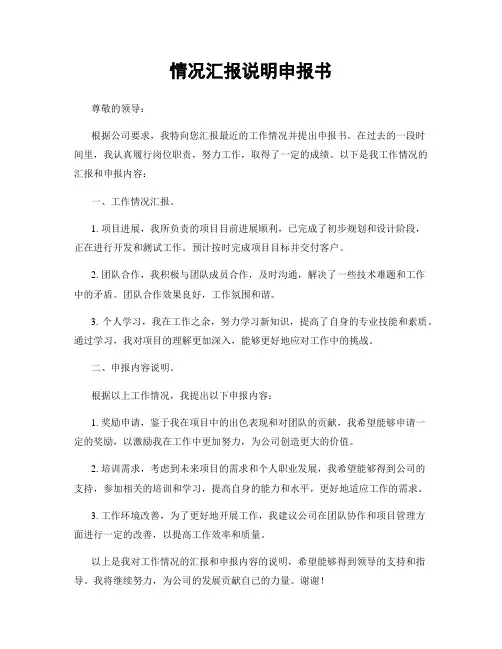 情况汇报说明申报书